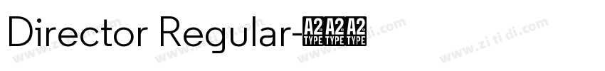Director Regular字体转换